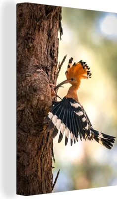 Produktbild von OneMillionCanvasses® - Leinwandbilder - 90x140 cm, Vogel - Baum - Wald, Wandbilder Kunstdruck Wanddekoration - Wandschmucke - Schlafzimmer