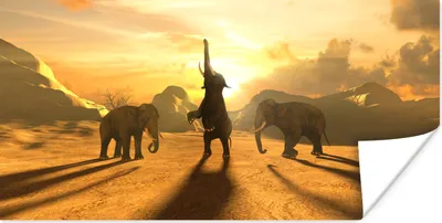 Produktbild von MuchoWow® Poster Elefant - Gold - Illustration 160x80 cm - Foto Poster