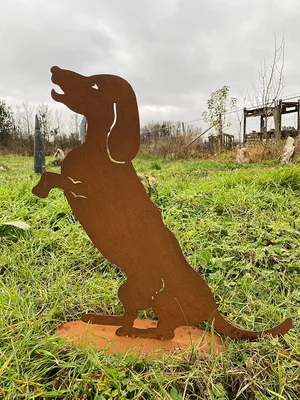 Produktbild von Edelrost Hund Dackel Macht Männchen 50x50cm auf Platte Edelrost Gartendeko Gartenfigur Wetterfest Rost Metall Rostfigur Hunde Figur Tier