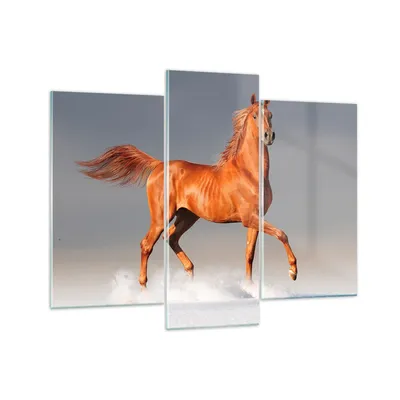Produktbild von Bilder auf glas - Tiere Pferd Galopp Geschwindigkeit - 130x100cm - Glasbilder - Wandbilder - Kunstdruck - Wanddekoration aus Glas - Glas Bilder - Wandbild auf Glas - GCB130x100-2590