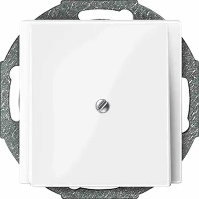 Produktbild von MERTEN 296319 - Weiß - Thermoplast - Jede Marke - 1 Stück(e)