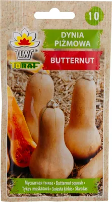 Zdjęcie produktu dla Dynia piżmowa BUTTERNUT Nasiona 5g Toraf 43
