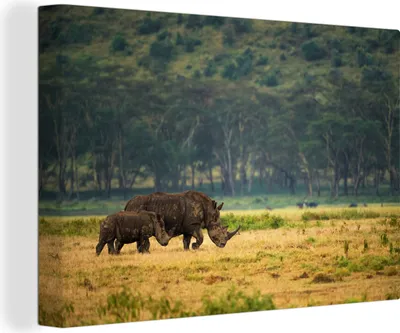 Produktbild von OneMillionCanvasses® - Leinwandbilder - 140x90 cm, Nashörner - Gras - Bäume, Wandbilder Kunstdruck Wanddekoration