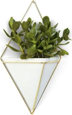 Obrázek produktu pro Květináč Trigg Brass