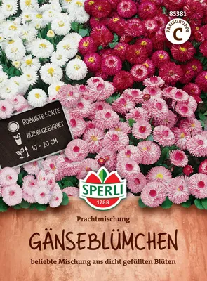 Produktbild von SPERLI Gänseblümchensamen Prachtmischung 70 Pflanzen