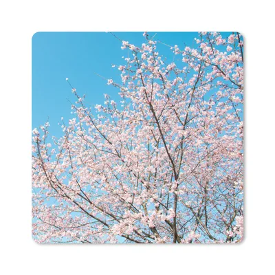 Produktbild von MuchoWow® Mauspad Mousepad Kirschbaum - Japan - Blüte 20x20 cm - Mousepads - Maus Mat - Pad - Mausunterlage - Desk Mat - Bureauartikeln