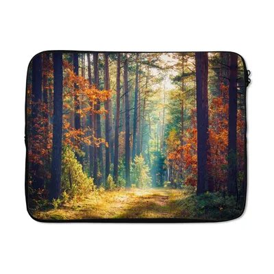 Produktbild von MuchoWow® Laptop Hülle 15 Zoll Wald - Sonne - Natur - Herbst Laptoptasche - Laptoptasche - Sleeve - Rundum-Schutz