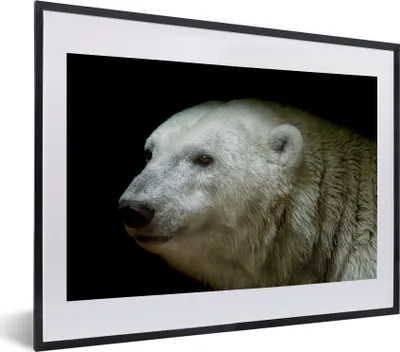 Produktbild von MuchoWow® MuchoWow® Gerahmtes Poster Nahaufnahme Eisbär 40x30 cm - Poster mit zchwarzem Bilderrahmen - Bilderrahmen - Poster im Rahmen