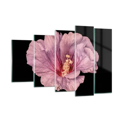 Produktbild von Bilder auf glas - 5 Teile - Hibiskus Blume Rosa - 150x100cm - Glasbilder - Wandbilder - Bilder - zum Aufhängen bereit - Wanddekoration aus Glas - Glas Bilder - Wandbild auf Glas - GEG150x100-4481