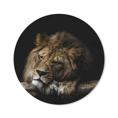 Produktbild von MuchoWow® Mauspad Mousepad Löwe - Baum - Braun 50x50 cm - Mousepads - Maus Mat - Pad - Mausunterlage - Vinyl