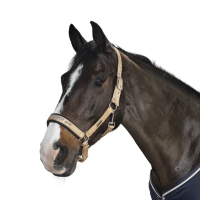 Produktbild von Eskadron Halfter GLOSSY mit Dornschnalle " Classic Sports " Größe - Warmblut Farbe - sunrice
