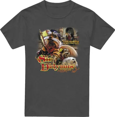Image de Labyrinthe - T-shirt unie homme/femme, chiné TV21544 (XXL) (Charbon de bois)