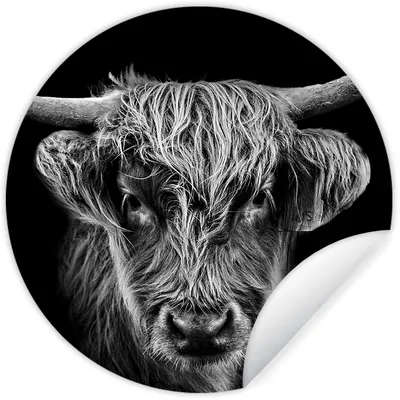 Produktbild von MuchoWow® Runde Wandtattoo - Wandsticker Tapete Aufkleber Schottischer Highlander - Schwarz - Kuh - Tiere Ø 30 cm Selbstklebend und Repositionierbar - Wandaufkleber - Kreis - Wandbild - Fototapete - Selbstklebend - Dekoration - Wandschmuck - Schlafzimmer