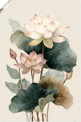 Produktbild von ARTland Poster Lotus Größe: 80x120 cm