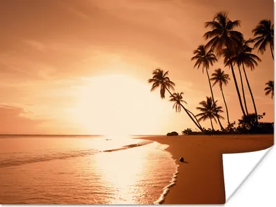 Produktbild von MuchoWow® Poster Sonnenuntergang - Tropisch - Palme - Strand - Meer 160x120 cm - Foto Plakat