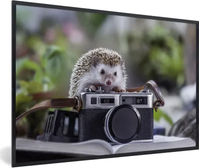 Produktbild von MuchoWow® Gerahmtes Poster Igel auf einer Kamera 90x60 cm - Poster mit Schwarzem Bilderrahmen Wandposter Rahmen Foto Bilder - Fotorahmen - Foto-Plakat
