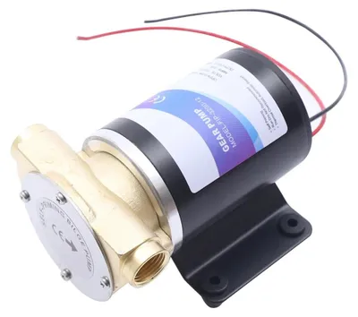 Produktbild von Wasserpumpe 12V - Selbstansaugende Druckpumpe - 23 l/min Fördermenge - 120 W Kupfermotor - Förderhöhe 3 m - Korrosionsbeständiges Gusseisen - Schwarz