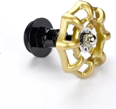 Image de Valve Mytube diamètre 25 mm or