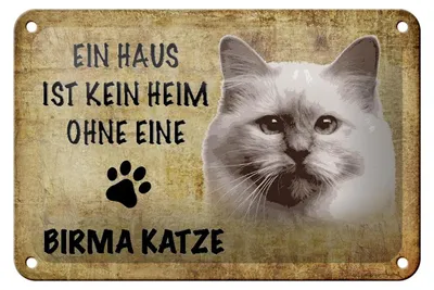 Produktbild von Blechschild Spruch 18x12cm Birma Katze ohne kein Heim