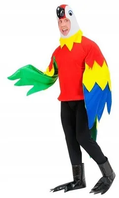 Image de Widmann Costume Perroquet Carnaval Adulte Taille S