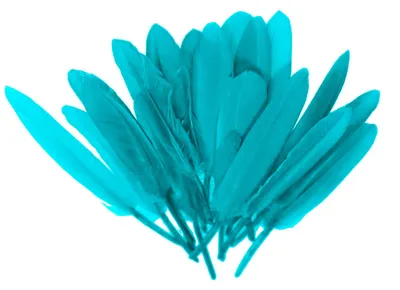 20 Entenfedern , 9-14 cm , ozeanblau