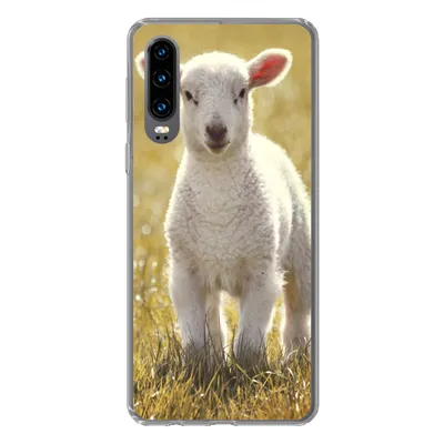 Produktbild von MuchoWow® Handyhülle Schutzhülle Hülle für Huawei P30 Lamm - Gras - Sonne Silikon Softcase Handy Hülle - Kartenbesitzer