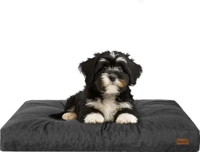 A puppy lying on a dog bed.