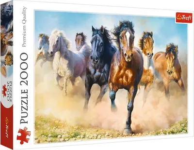 Image de TREFL Puzzle Chevaux au galop 2000 pièces