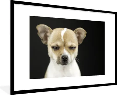 Produktbild von MuchoWow® Gerahmtes Poster Hund - Haustiere - Porträt 90x60 cm - Poster mit Schwarzem Bilderrahmen Wandposter Rahmen Foto Bilder - Wanddekoration - Fotos