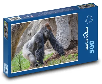 Produktbild von Puzzle 500 Gorilla in natürlicher Umgebung - martinpuzzle