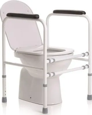 Immagine prodotto di Braccioli Toilette Regolabili in Acciaio Verniciato con Imbottitura