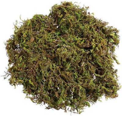 Obrázok produktu pre Umelá imitácia trávy, balenie po 3 kusoch, zelená farba, na kvety, rastliny, do záhrady, na trávnik, ako dekorácia