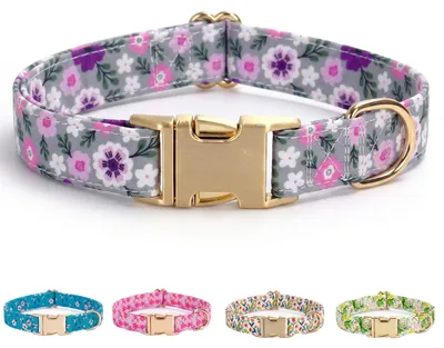 Produktbild von Hundenhalsband verstellbar, klein, XS, lila, für kleine Hunde