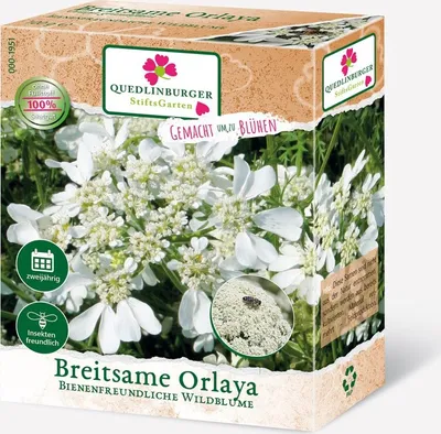 Produktbild von Breitsame Orlaya (Orlaya grandiflora) FS