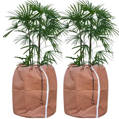 Obrázek produktu pro Solidchoice – Tepelná ochrana pro rostliny, 2 kusy, 70 x 65 cm