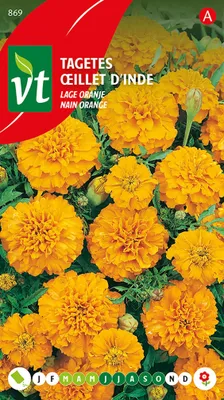 Produktbild von Tagetes Kopfsalat Orange Samen - Ca. 1 gr | VT_869