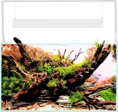 Produktbild von Aquarium AQUAEL UltraScape 60 mit LED Beleuchtung ca. 64 l OPTI Glas, Weißglas, ohne Unterschrank snow