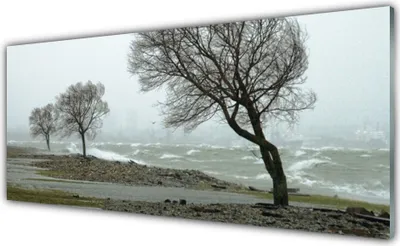 Produktbild von Acrylglasbilder 125x50 Wandbild Druck Bäume Natur
