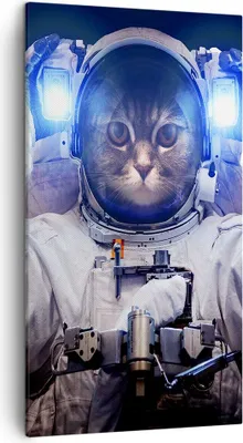 Produktbild von Bild auf Leinwand - Leinwandbild - Kosmonaut Katze - 45x80cm - Wand Bild - Wanddeko - Wandbilder - Leinwanddruck - Bilder - Kunstdruck - Wanddekoration - Leinwand bilder - Wandkunst - PA45x80-3734