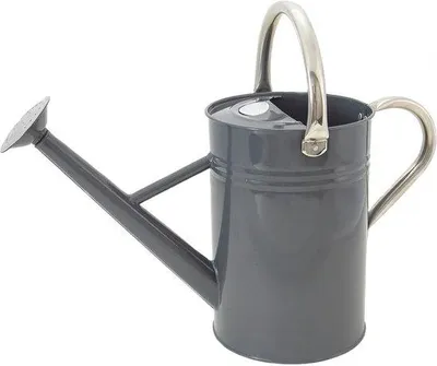Produktbild von Klassisch Stahlgießkanne mit 4,5 Liter Fassungsvermögen in Cool Grey, mit handlichem Griff und abnehmbarer Rosette, für alle Jahreszeiten aus rostfreiem Stahl