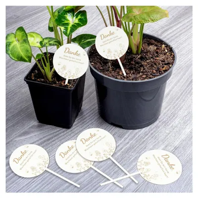 Produktbild von 8 Stück Holz Blumenstecker, Danke für Deine Unterstützung beim Wachsen, Holzkarte für Blumentöpfe und Abschiedsgeschenke
