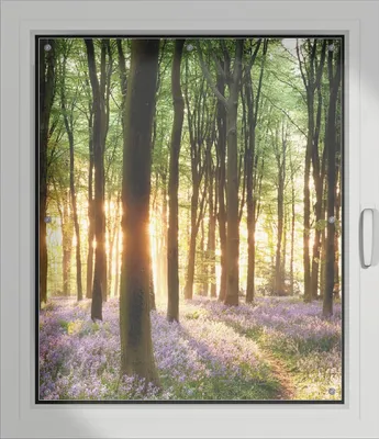 Produktbild von Wallario Lichtschutzbild, Dekorativer Sichtschutz Sonnenschutz 96 x 115 cm mit Motiv: Blaue Hasenglöckchen im Wald mit Sonnenstrahlen - Verdunklung ohne Bohren
