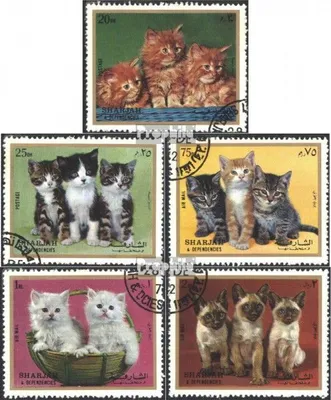 Produktbild von Briefmarken Sharjah 1972 Mi 1386-1391 (kompl.Ausg.) gestempelt Kätzchen