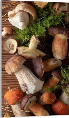 Immagine prodotto di Piastra di copertura del piano cottura 30x52 in Vetroceramica, piatto di vetro di copertura del piano cottura, tagliere decorativo, funghi marroni