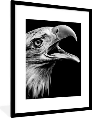 Produktbild von MuchoWow® Gerahmtes Poster Adler - Porträt - Raubvögel - Schwarz - Weiß - Vogel 60x80 cm - Poster mit Schwarzem Bilderrahmen Wandposter Rahmen Foto Bilder - Wohnzimmer - Dekorationen - Prämie