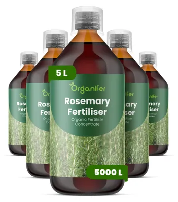 Produktbild von Rosmarin Flüssigdünger 5x1L – 2-1-8 NPK – Flüssig-Pflanzendünger für Rosmarin – Organifer