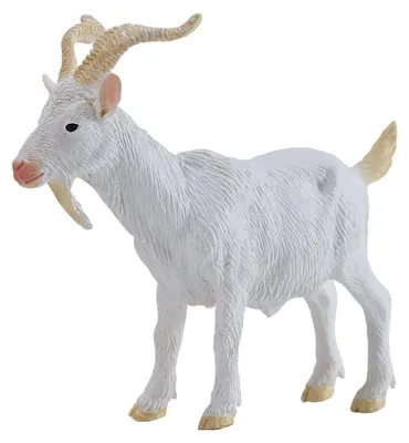 Zdjęcie produktu dla Mojo Billy Goat - model 381136