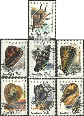 Produktbild von Briefmarken Tansania 1992 Mi 1247-1253 (kompl.Ausg.) gestempelt Meeresschnecken und Muscheln