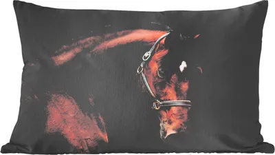Produktbild von MuchoWow® Zierkissen Sofakissen Wohnzimmer Dekokissen 50x30 cm Pferd - Leicht - Halfter - Wohnzimmerdekoration - Polster mit Photo