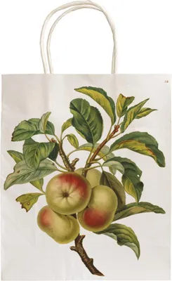 Productafbeelding van Dárková papírová taška Apples